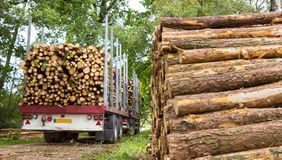 forest management in southern maryland