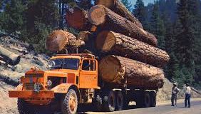 logging company in southern maryland